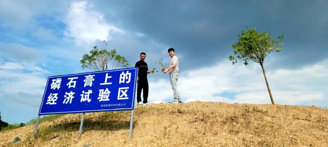 磷石膏"纳米改性术"成功：荒山变良田！